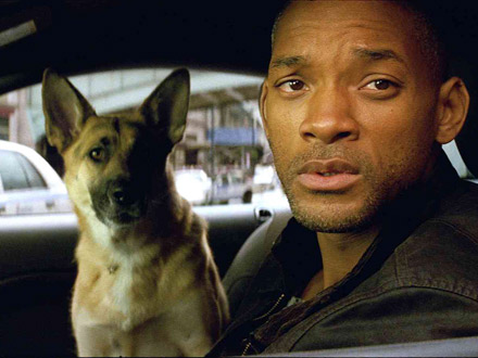 Will Smith looking for I Am Legend 2