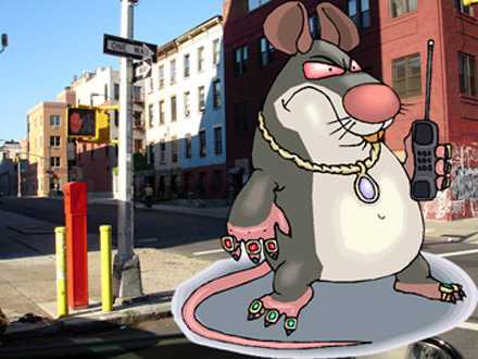 Rats in the City
