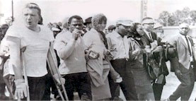 the vidpod