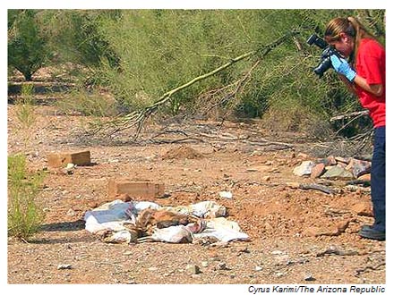 photographer takes picture of dead pitbulls at DMX's Arizona ranch