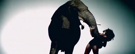 Kelly Rowland grabs an elephant's trunk.