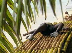 Survivor Cook Island