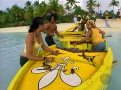 Survivor Cook Island