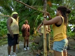 Survivor Cook Island